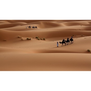 Tablou canvas 50x35 cm Peisaj 724 Tablou canvas 50x35 cm Peisaj 724