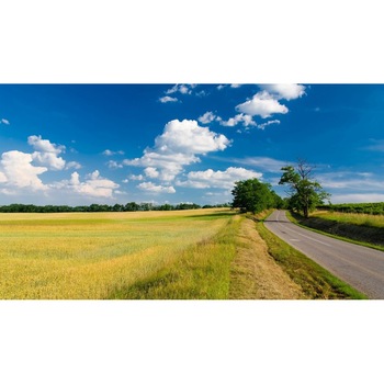 Tablou canvas 50x90 cm Peisaj 716 Tablou canvas 50x90 cm Peisaj 716