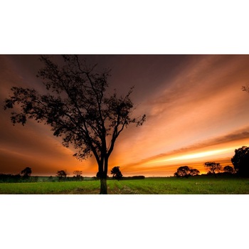 Tablou canvas 50x90 cm Peisaj 720 Tablou canvas 50x90 cm Peisaj 720