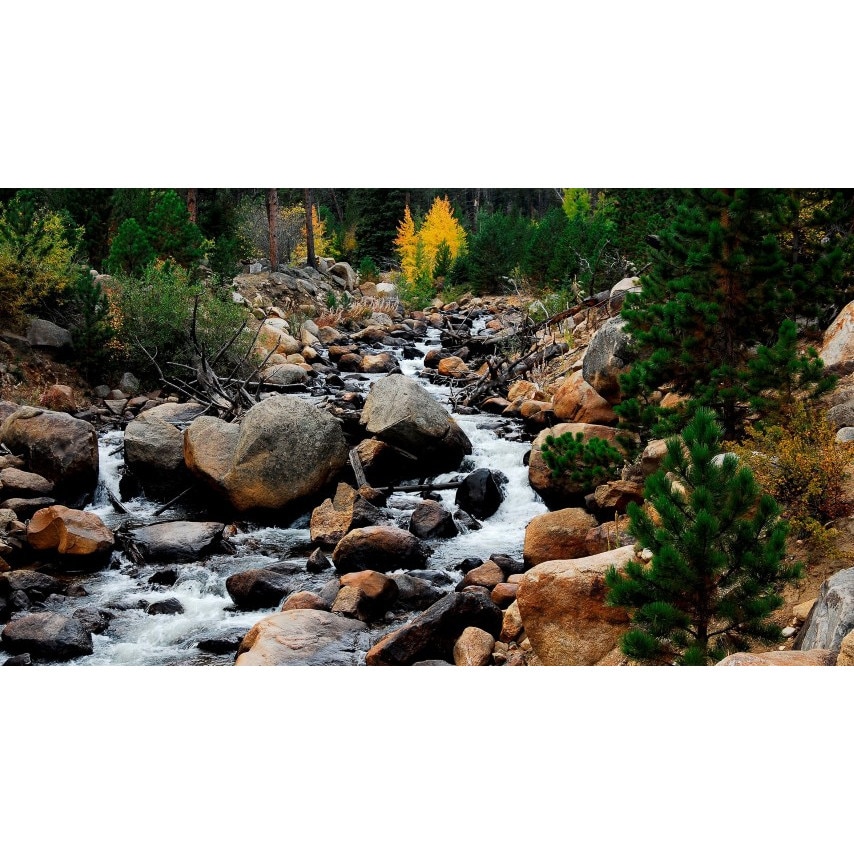 Tablou canvas 50x90 cm Peisaj 652