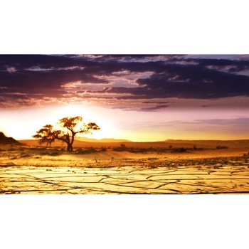 Tablou canvas 50x90 cm Peisaj 794 Tablou canvas 50x90 cm Peisaj 794