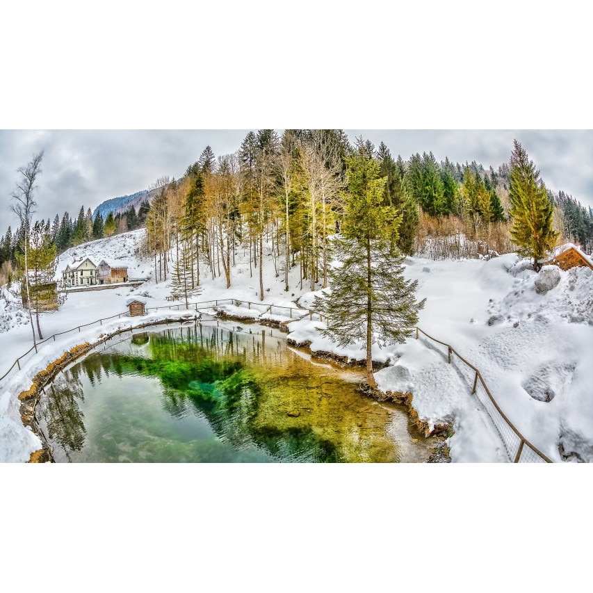 Tablou canvas 50x90 cm Peisaj 793