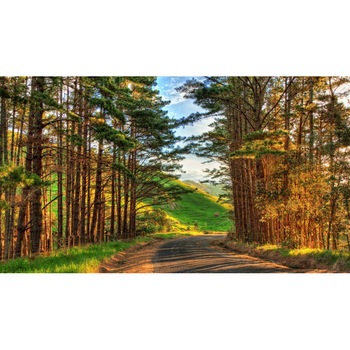 Fototapet autoadeziv 75x110 cm Peisaj 783 Fototapet autoadeziv 75x110 cm Peisaj 783