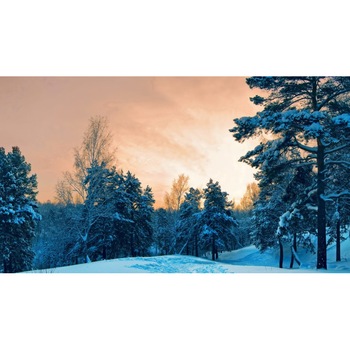 Tablou canvas 50x35 cm Peisaj 928 Tablou canvas 50x35 cm Peisaj 928