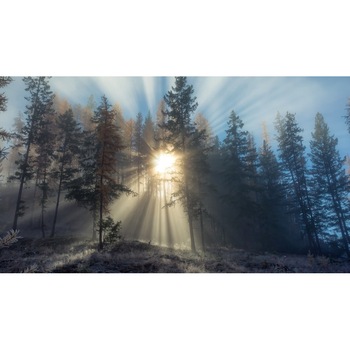 Fototapet autoadeziv 70x120 cm Peisaj 929 Fototapet autoadeziv 70x120 cm Peisaj 929