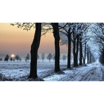 Tablou canvas 50x90 cm Peisaj 870 Tablou canvas 50x90 cm Peisaj 870