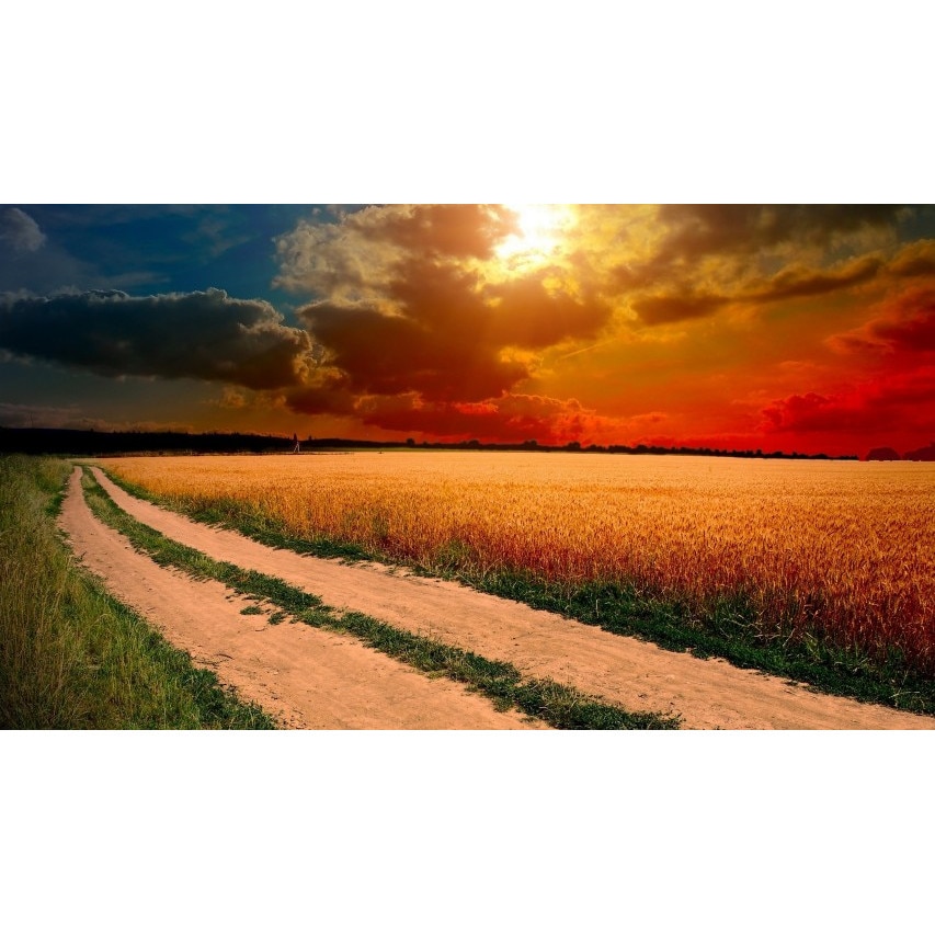 Tablou canvas 75x50 cm Peisaj 908