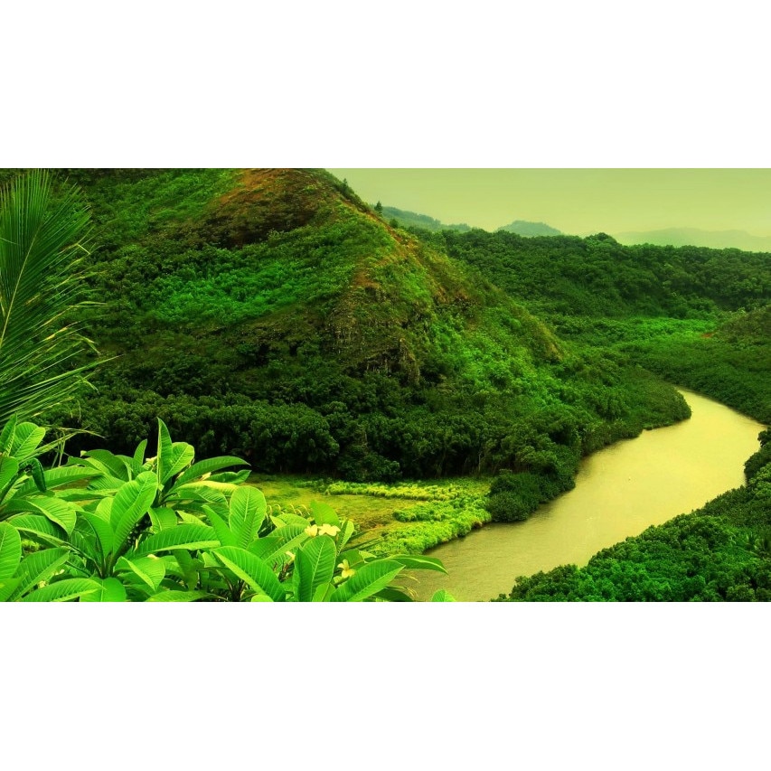 Tablou canvas 50x90 cm Peisaj 828