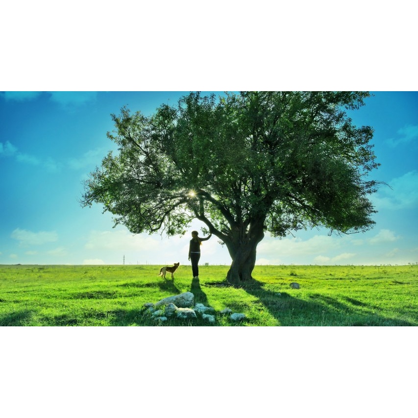 Tablou canvas 50x35 cm Peisaj 805