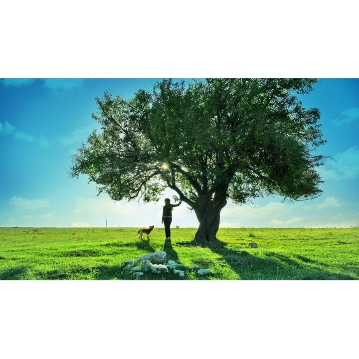 Fototapet autoadeziv Canvas 100x70 cm Peisaj 805