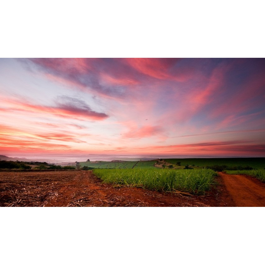 Tablou canvas 100x70 cm Peisaj 864