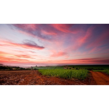 Tablou canvas 75x50 cm Peisaj 864 Tablou canvas 75x50 cm Peisaj 864