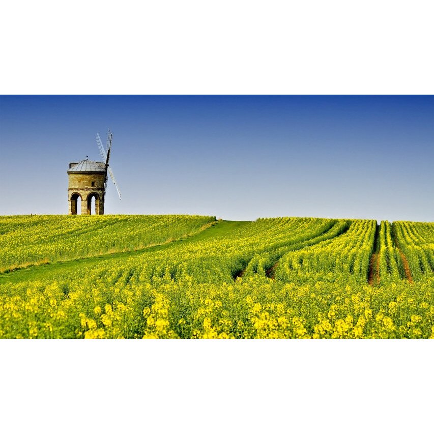 Tablou canvas 50x90 cm Peisaj 891