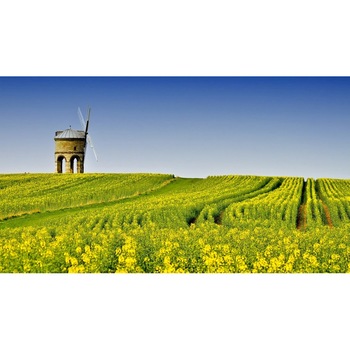 Tablou canvas 50x90 cm Peisaj 891 Tablou canvas 50x90 cm Peisaj 891