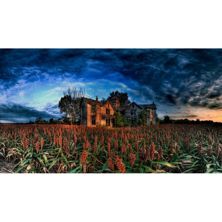 Fototapet autoadeziv 100x70 cm Peisaj 857