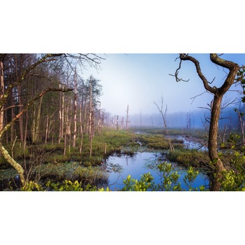 Tablou canvas 75x50 cm Peisaj 865 Tablou canvas 75x50 cm Peisaj 865