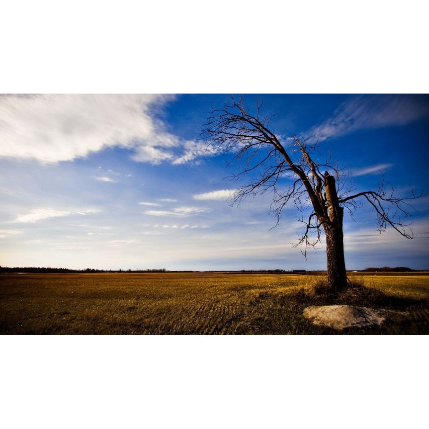 Tablou canvas 75x50 cm Peisaj 818