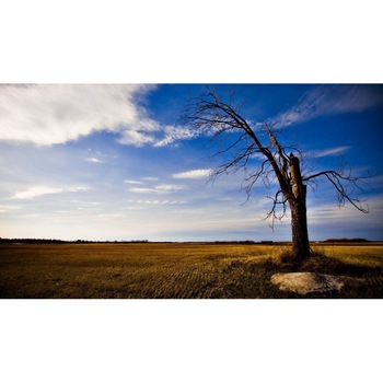 Fototapet autoadeziv 70x120 cm Peisaj 818 Fototapet autoadeziv 70x120 cm Peisaj 818