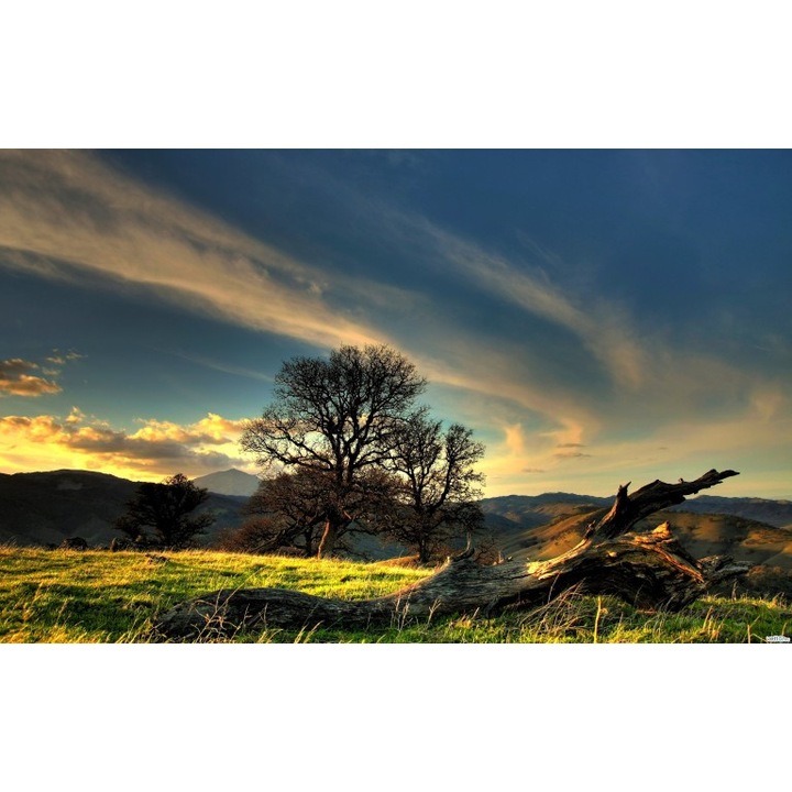 Fototapet autoadeziv Canvas 120x80 cm Peisaj 918