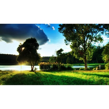 Tablou canvas 50x35 cm Peisaj 829 Tablou canvas 50x35 cm Peisaj 829