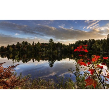 Tablou canvas 50x90 cm Peisaj 901 Tablou canvas 50x90 cm Peisaj 901