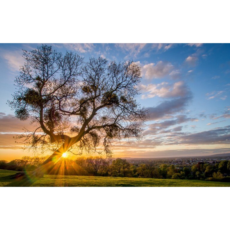 Tablou canvas 50x90 cm Peisaj 927