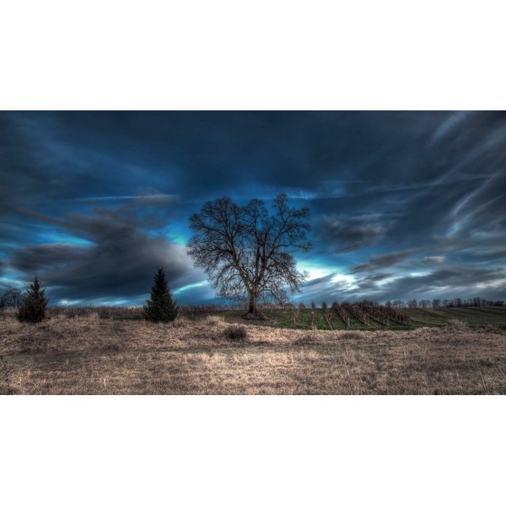 Fototapet autoadeziv Canvas 100x70 cm Peisaj 880