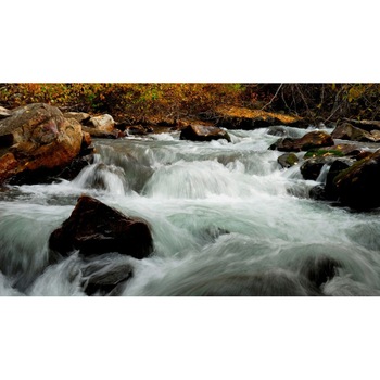 Tablou canvas 100x70 cm Peisaj 884 Tablou canvas 100x70 cm Peisaj 884