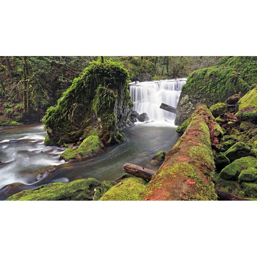 Tablou canvas 50x90 cm Peisaj 973