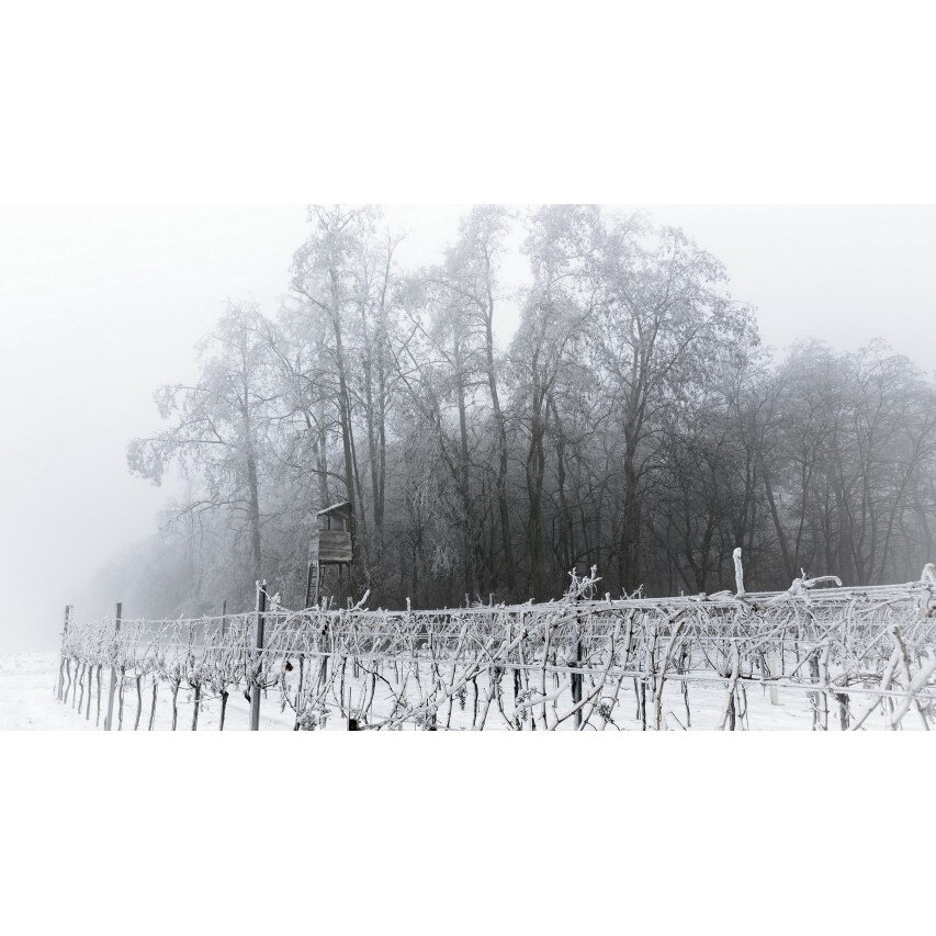 Tablou canvas 50x35 cm Peisaj 985