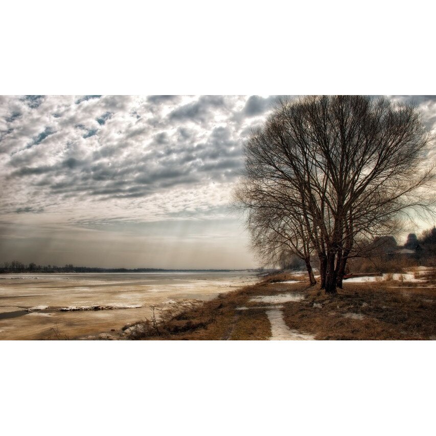 Tablou canvas 50x90 cm Peisaj 988