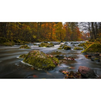 Tablou canvas 50x35 cm Peisaj 970 Tablou canvas 50x35 cm Peisaj 970