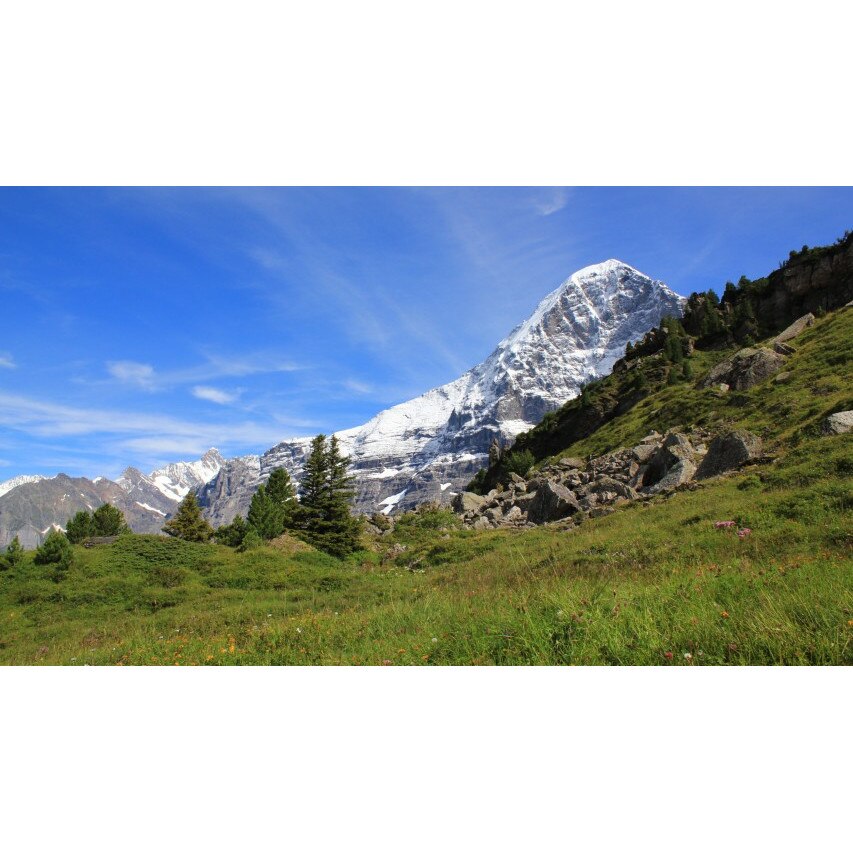 Tablou canvas 50x90 cm Peisaj 969