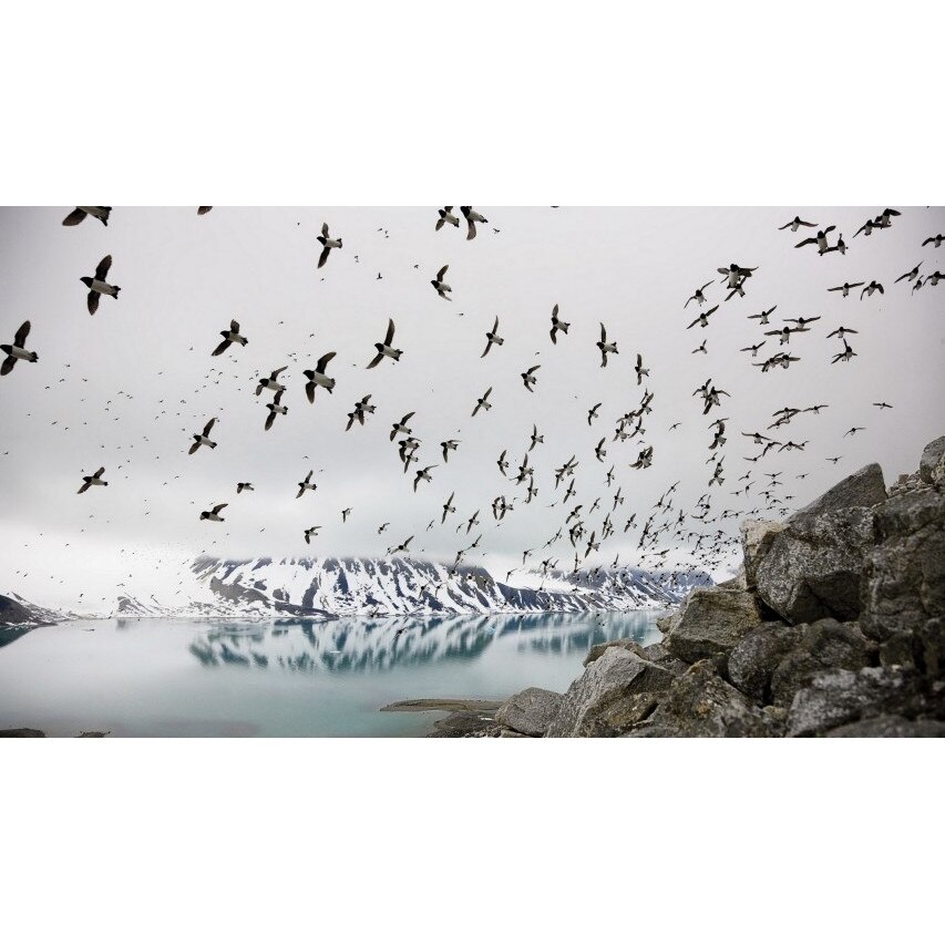 Tablou canvas 50x35 cm Peisaj 989