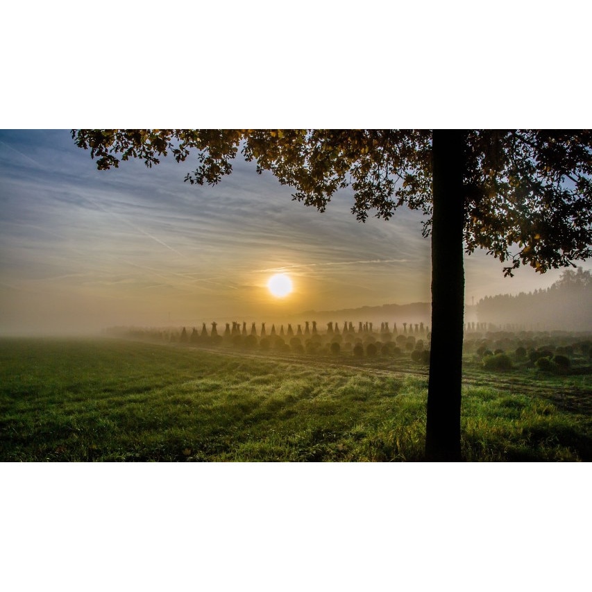 Tablou canvas 50x35 cm Peisaj 974