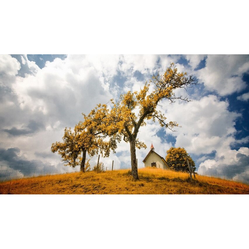 Tablou canvas 50x35 cm Peisaj 902