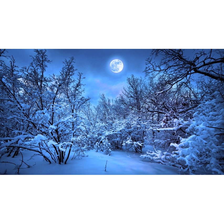 Tablou canvas 50x35 cm Peisaj 964