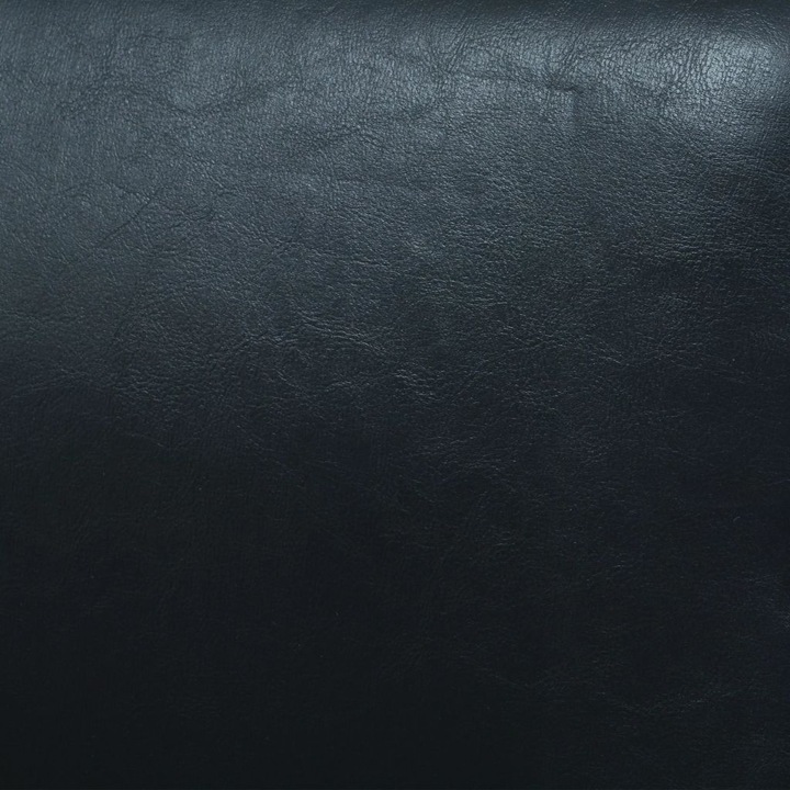 vidaXL Двуместен диван, Екологична кожа, черен