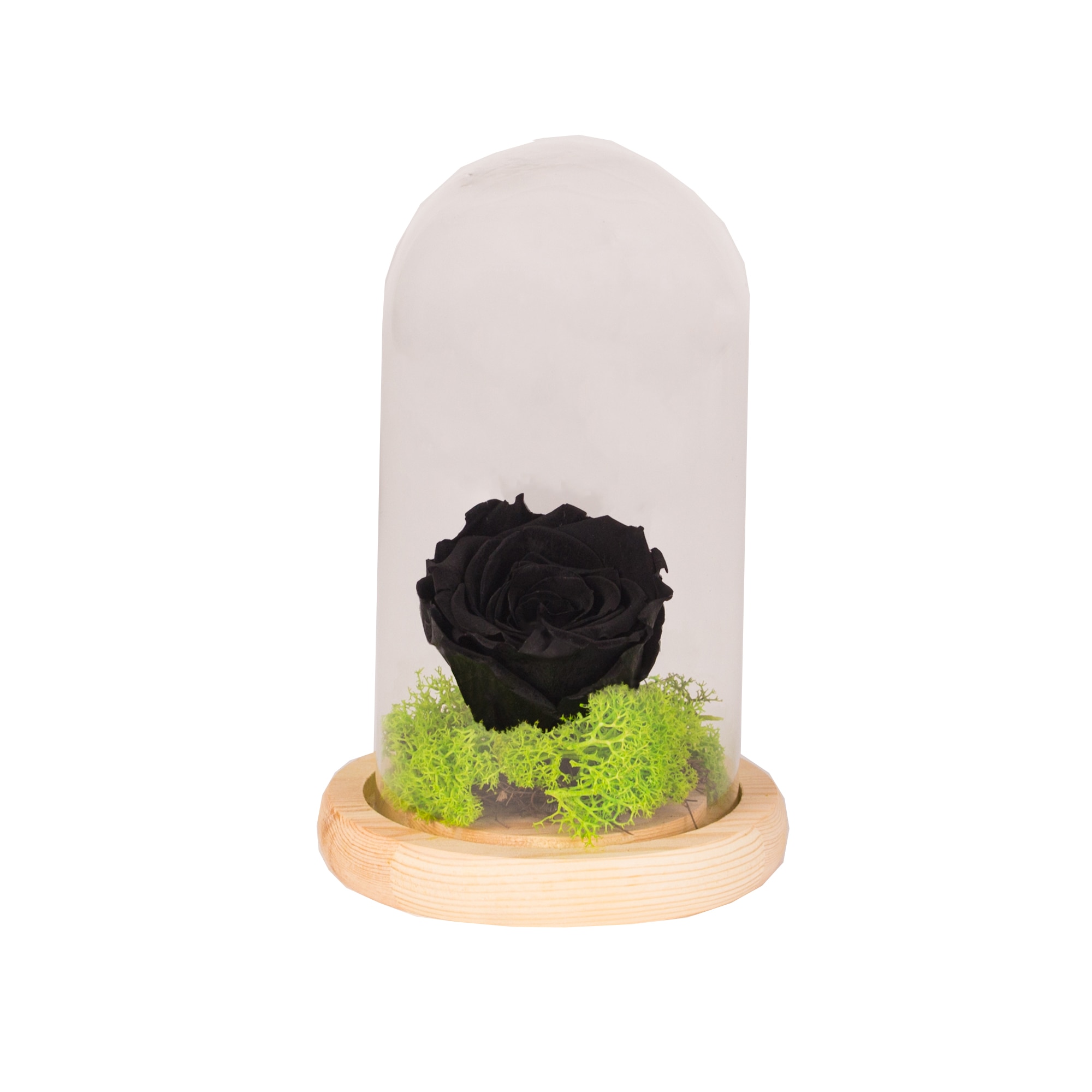 Clopot de sticla cu platou de lemn si trandafir criogenat negru, Purple Flowers