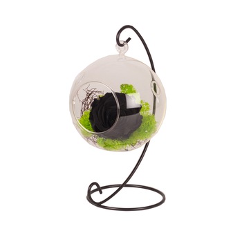 Aranjament suspendat cu trandafir conservat negru, Purple Flowers Aranjament suspendat cu trandafir conservat negru, Purple Flowers