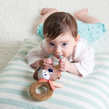 Jucarie zornaitoare Tiny Love, Polar Wonders, renul Alex Jucarie zornaitoare Tiny Love, Polar Wonders, renul Alex