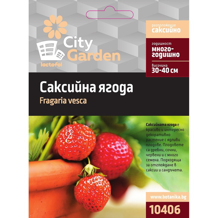 Саксийна ягода City Garden