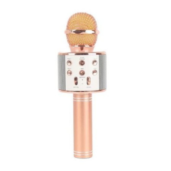 Microfon wireless portabil cu boxa inclusa si multiple functii, Online Speed Ray