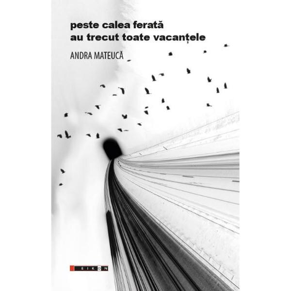 Peste calea ferata au trecut toate vacantele - Andra Mateuca