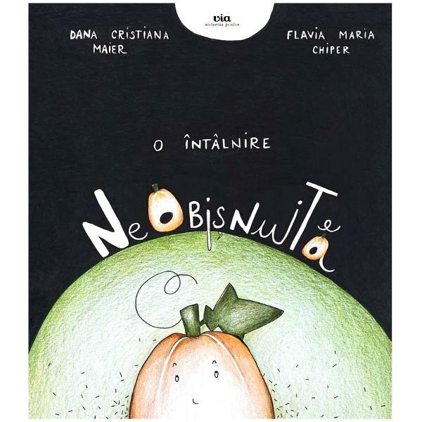 O intalnire neobisnuita - Dana Cristiana Maier, Flavia Maria Chiper