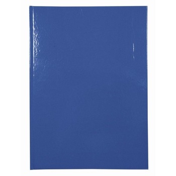 Registru repertoar cartonat, EvOffice, premium Lux, coperta policromie, dictando A4 , portret 200 pagini Registru repertoar cartonat, EvOffice, premium Lux, coperta policromie, dictando A4 , portret 200 pagini