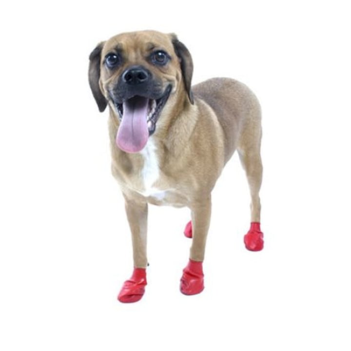 Каучукова водоустойчива обувка за кучета Pawz S Червени, 12 броя /кутия/