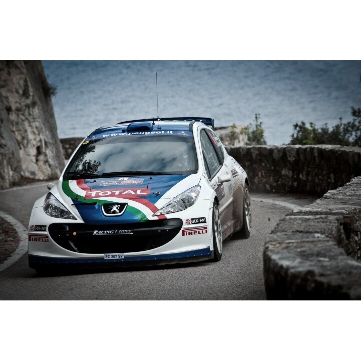 Tablou canvas 35x50 cm, Auto model 137