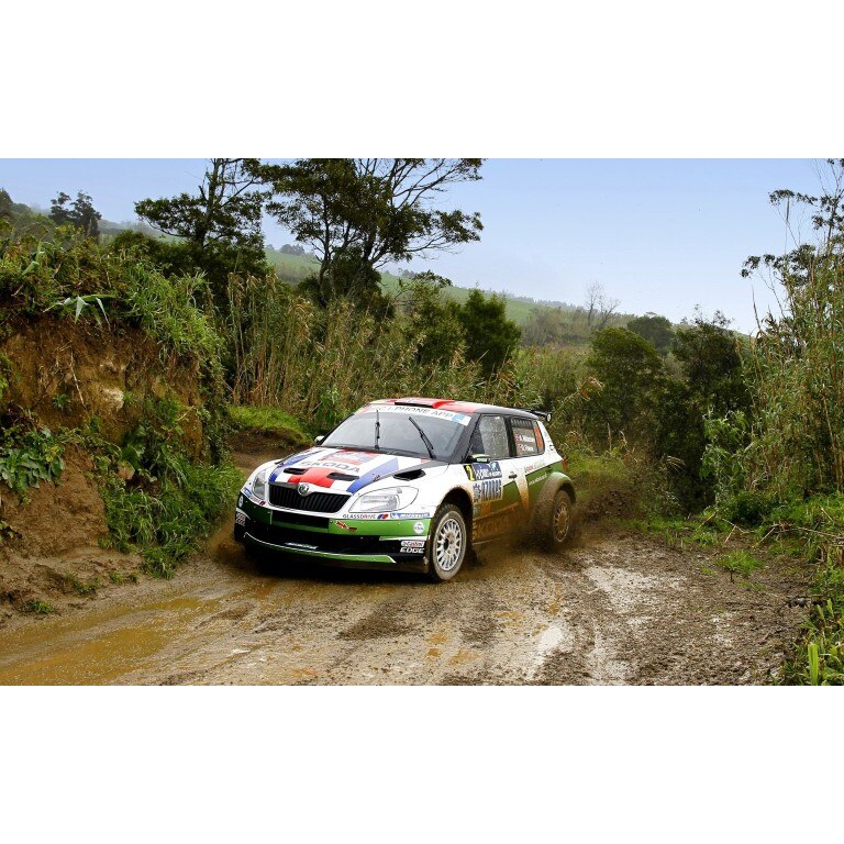 Tablou canvas 50x90 cm, Auto model 150