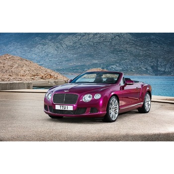 Tablou canvas 35x50 cm, Auto model 159 Tablou canvas 35x50 cm, Auto model 159